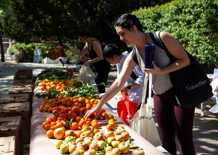 A Burgeoning Food Justice Movement Rises in Black America